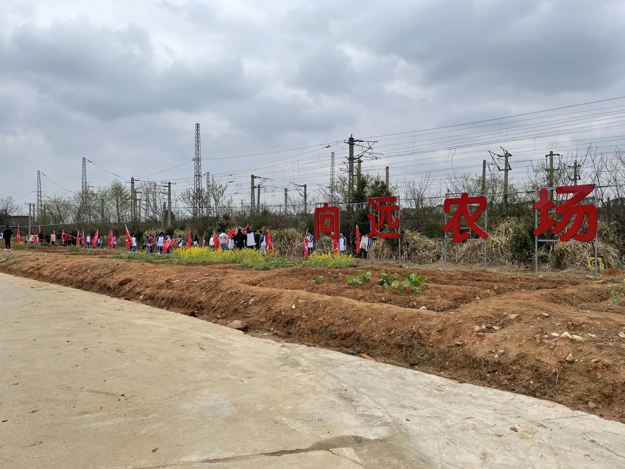 B体育网站登录助力植树节，彰显向远力量