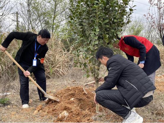 B体育网站登录助力植树节，彰显向远力量