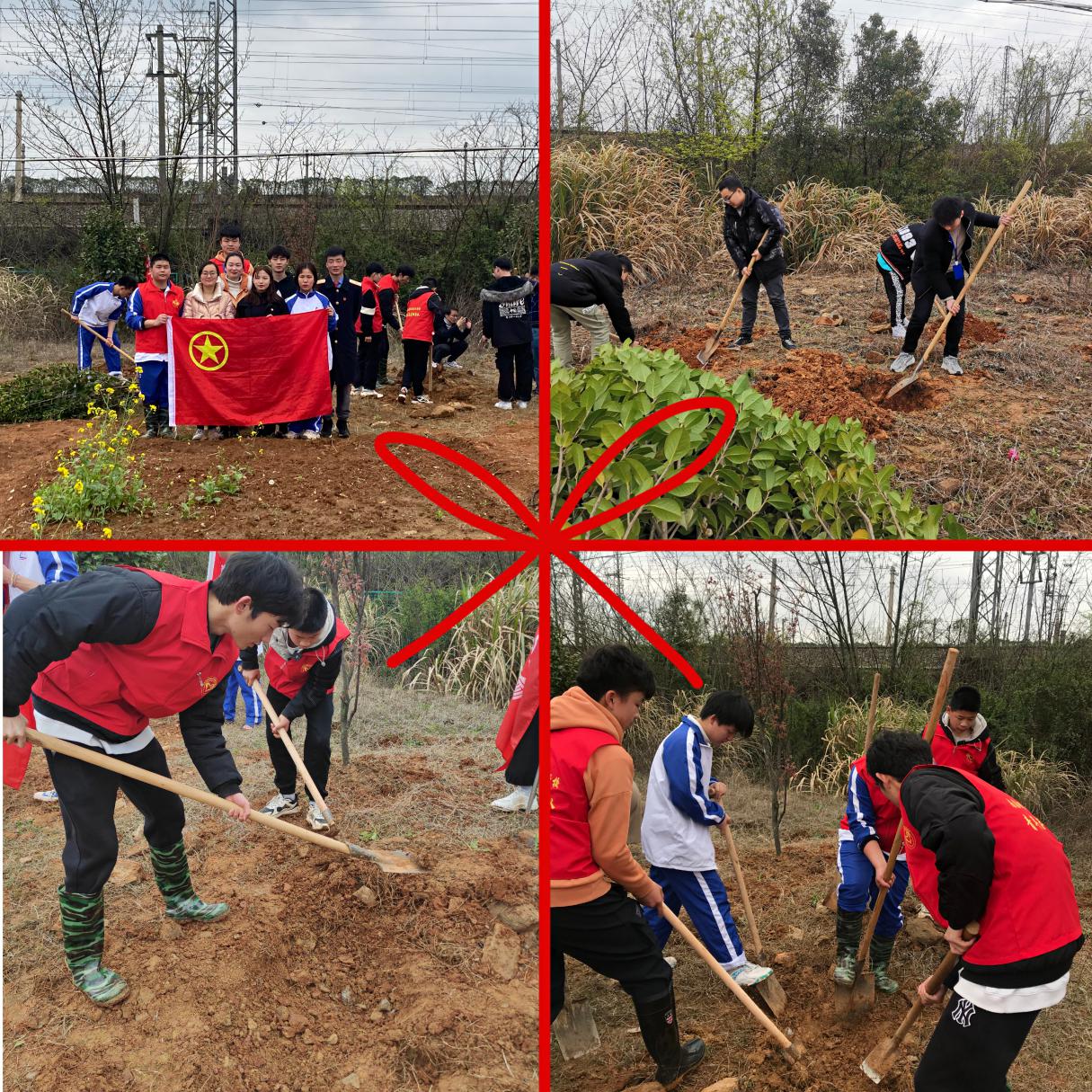 B体育网站登录助力植树节，彰显向远力量