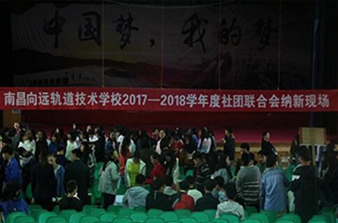 精彩纳新,绽放你我青春活力B体育网站登录