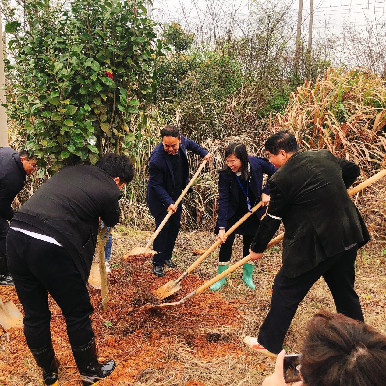 B体育网站登录助力植树节，彰显向远力量