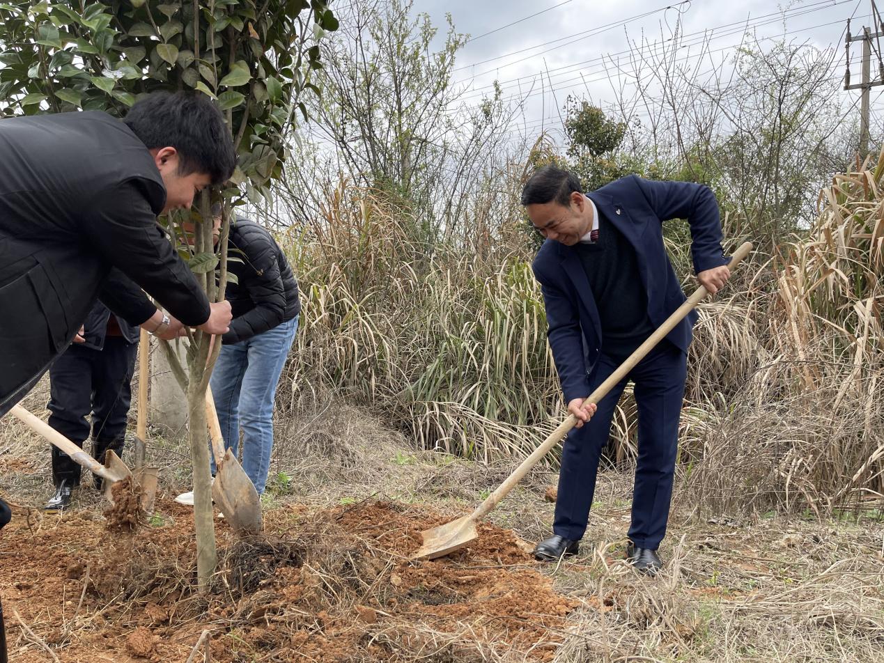 B体育网站登录助力植树节，彰显向远力量